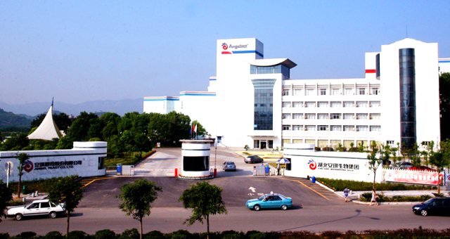 R . 湖北安琪酵母股份 R . 湖北安琪酵母股份