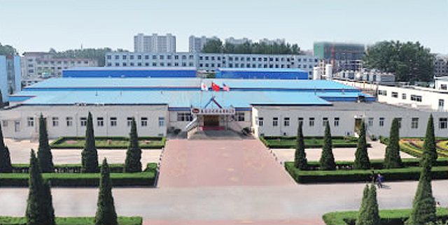 R . 山東禹城龍力 R . 山東禹城龍力