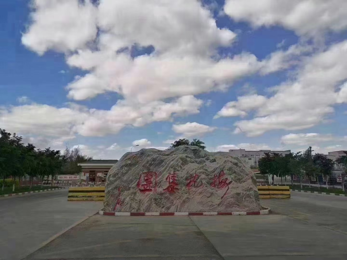 R . 新疆梅花氨基酸-2 R . 新疆梅花氨基酸-2