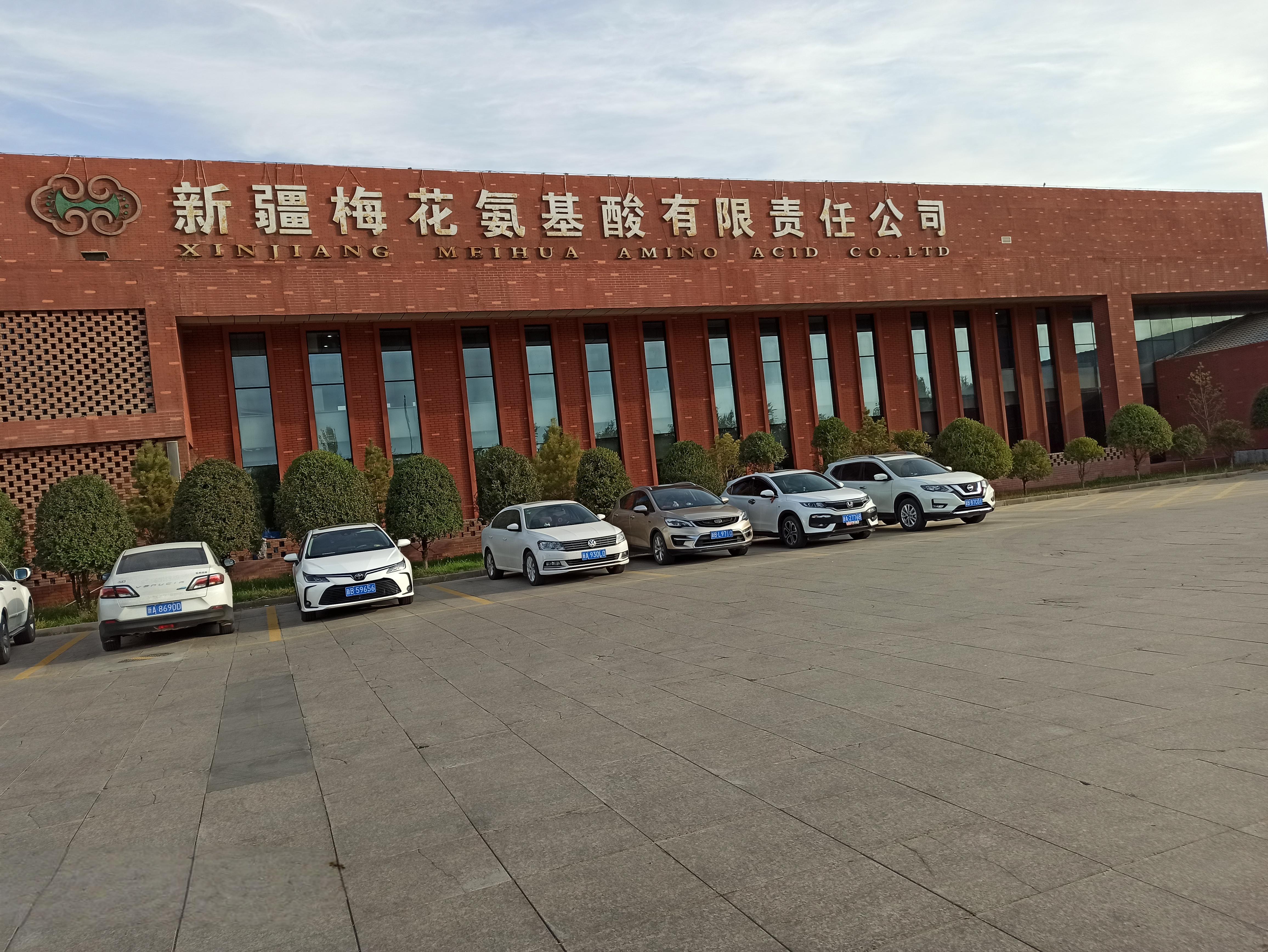 R . 新疆梅花氨基酸-1 R . 新疆梅花氨基酸-1